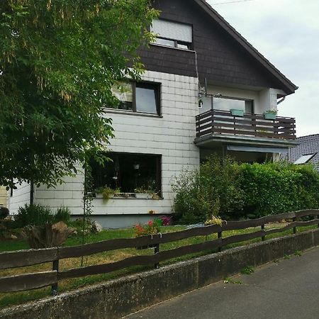 Ferienwohnung-Ameisenhardt ชไลเดิน ภายนอก รูปภาพ